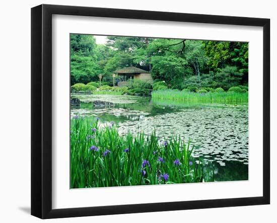 Heian Shrine Garden, Kyoto, Japan-null-Framed Photographic Print