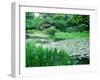 Heian Shrine Garden, Kyoto, Japan-null-Framed Photographic Print