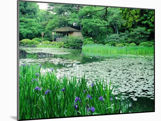 Heian Shrine Garden, Kyoto, Japan-null-Mounted Photographic Print