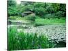 Heian Shrine Garden, Kyoto, Japan-null-Stretched Canvas