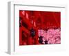 Heian Shrine in Spring, Shinto, Kyoto, Japan-Shin Terada-Framed Photographic Print