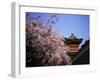 Heian Shrine, Kyoto, Japan-null-Framed Photographic Print