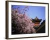 Heian Shrine, Kyoto, Japan-null-Framed Photographic Print