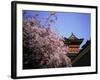 Heian Shrine, Kyoto, Japan-null-Framed Photographic Print