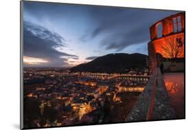 Heidelberg Altstadt and Castle Ruins with Neckar River at Night, Heiligenberg, Baden Wurttemberg-Andreas Brandl-Mounted Photographic Print