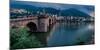 Heidelberg Castle and Old Bridge, Neckar River, Heidelberg, Baden-Wurttemberg, Germany-null-Mounted Photographic Print