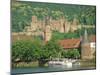 Heidelberg Castle and the Neckar River, Heidelberg, Baden-Wurttemberg, Germany, Europe-Gavin Hellier-Mounted Photographic Print