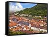 Heidelberg Castle, Heidelberg, Germany-Miva Stock-Framed Stretched Canvas