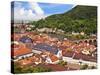 Heidelberg Castle, Heidelberg, Germany-Miva Stock-Stretched Canvas