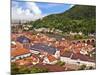 Heidelberg Castle, Heidelberg, Germany-Miva Stock-Mounted Photographic Print