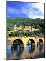 Heidelberg Castle, Heidelberg, Germany-Miva Stock-Mounted Photographic Print