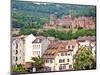 Heidelberg Castle, Heidelberg, Germany-Miva Stock-Mounted Photographic Print