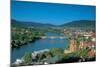 Heidelberg on the river Rhine-null-Mounted Art Print