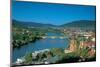 Heidelberg on the river Rhine-null-Mounted Art Print