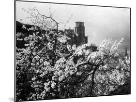 Heidelberg Schloss-null-Mounted Photographic Print