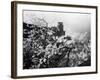 Heidelberg Schloss-null-Framed Photographic Print