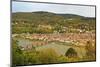 Heidelberg-Jochen Schlenker-Mounted Photographic Print