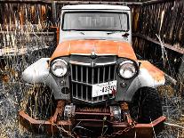 Willys Rust II-Heidi Bannon-Photo