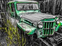 Willys front Rust-Heidi Bannon-Photo