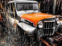 Willys Rust II-Heidi Bannon-Photo