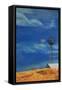 Canvas Black