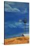 Stretched Canvas