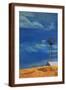 Brown Frame