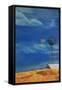 Canvas Black