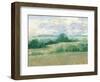 Height of Summer I-Ethan Harper-Framed Art Print