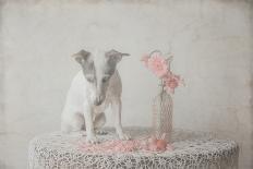 The Dog in the Gas Station-Heike Willers-Photographic Print