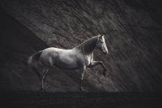 The Confectioner and His Masterpiece-Heike Willers-Photographic Print