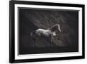 Gramercy Black