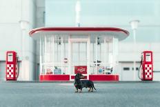 The Dog in the Gas Station-Heike Willers-Photographic Print