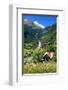 Heiligenblut at Grossglockner High Alpine Road with view towards Grossglockner-null-Framed Art Print