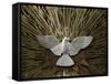 Heiliggeistkirche Church Holy Spirit Dove by Joseph Plecnik, Vienna, Austria, Europe-Godong-Framed Stretched Canvas