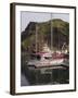 Heimaey, Westman Islands, Iceland, Polar Regions-Ethel Davies-Framed Photographic Print