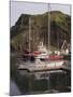 Heimaey, Westman Islands, Iceland, Polar Regions-Ethel Davies-Mounted Photographic Print