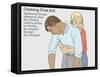 Heimlich Maneuver-Gwen Shockey-Framed Stretched Canvas