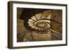 Heinen D'escalier-Paul Boomsma-Framed Giclee Print