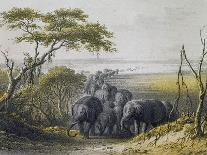 Herd of Elephants in Chad, September 25, 1851-Heinrich Barth-Giclee Print