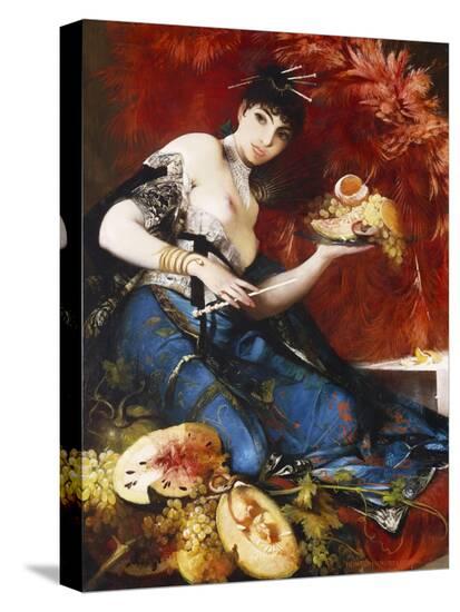 Stretched Canvas Print, , large