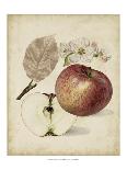 Harvest Apples II-Heinrich Pfeiffer-Mounted Art Print