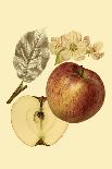 Harvest Apples II-Heinrich Pfeiffer-Laminated Art Print