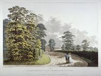 Gardens at Hampton Court Palace, Hampton, Middlesex, 1798-Heinrich Schutz-Giclee Print