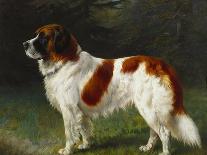 A St. Bernard on the Edge of a Wood-Heinrich Sperling-Mounted Giclee Print