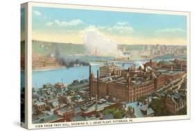 Heinz Plant, Pittsburgh, Pennsylvania-null-Stretched Canvas