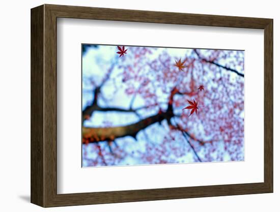 Heirinji Rinzai temple in Niiza City Japan-null-Framed Art Print