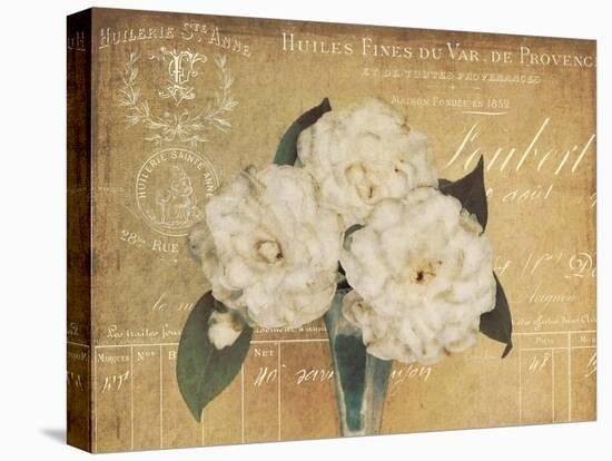 Heirloom Bouquet 1-Cristin Atria-Stretched Canvas