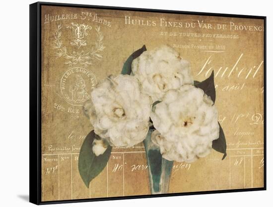 Heirloom Bouquet 1-Cristin Atria-Framed Stretched Canvas