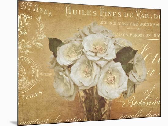 Heirloom Bouquet 5-Cristin Atria-Mounted Art Print